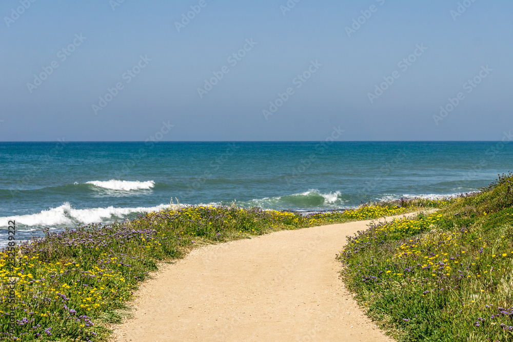 Fototapeta premium View of the shores of the Mediterranean sea with purple and yellow flowers on the foreground.