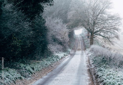 Icy road and frost covered trees in fog. Norfolk, UK. photo