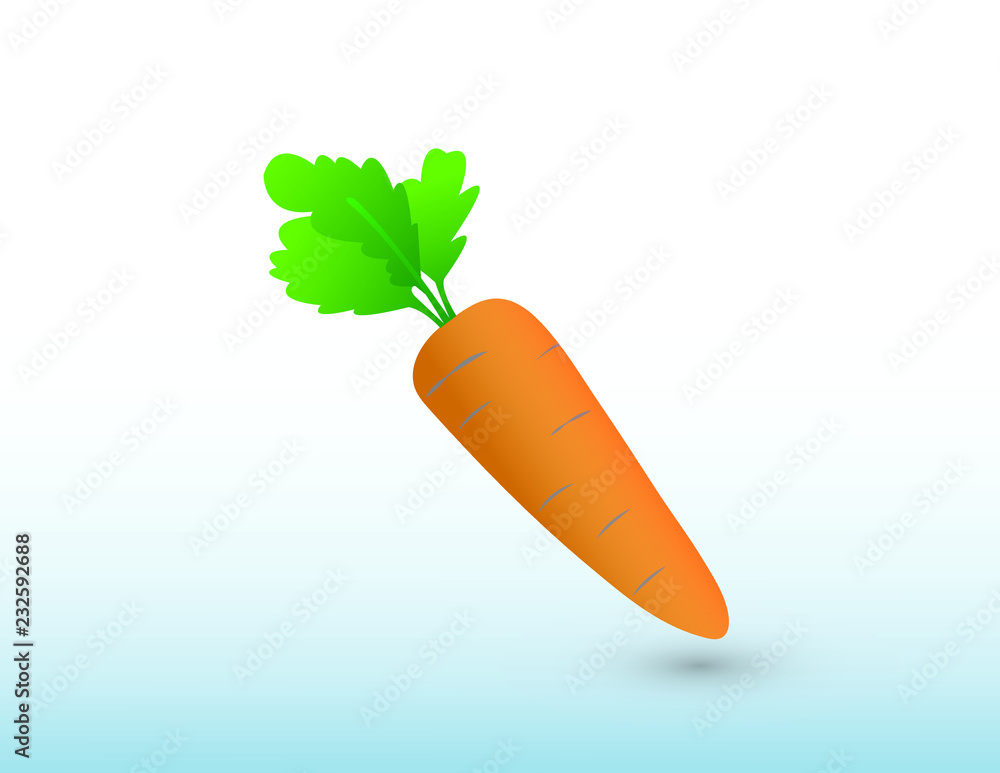 An orange fresh carrot vegetable logo with shadow on white background vector illustration An orange fresh carrot vegetable logo with shadow on white background vector illustration