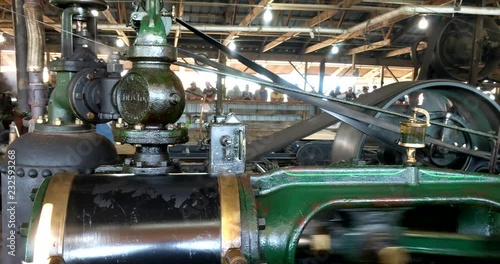 Steam Engines in a 1900s vintage saw mill demonstration, belt driving various antique saw mill machines.