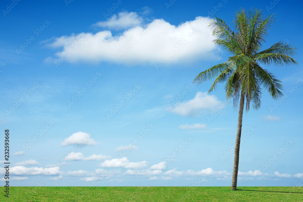 Blue sky and beautiful cloud with coconut tree. Landscape background for poster. Blue sky and beautiful cloud with coconut tree. Landscape background for poster.
