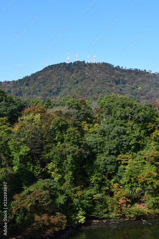 高館山 / 山形県鶴岡市大山にある、標高273.2mの低山です。林野庁の「自然休養林」、「森林浴の森100選」にも指定されています。高館山には、庄内地方の基幹中継局となる、山形県各放送局の鶴岡中継局があり、庄内海浜県立自然公園の一部にも指定されています。 高館山 / 山形県鶴岡市大山にある、標高273.2mの低山です。林野庁の「自然休養林」、「森林浴の森100選」にも指定されています。高館山には、庄内地方の基幹中継局となる、山形県各放送局の鶴岡中継局があり、庄内海浜県立自然公園の一部にも指定されています。