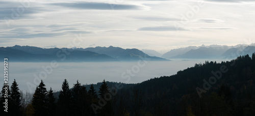 cloud banks over deep valleys and a faint mountain ridge line on the horizon with clouds above and framed by coniferous fir trees on both sides in the Appenzell region of Switzerland
