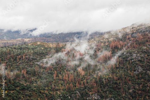 Fotografie view of foggy mountain range