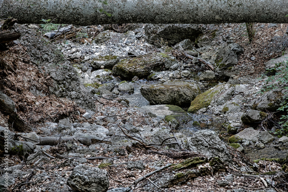 grey stones under a fallen tree trunk grey stones under a fallen tree trunk