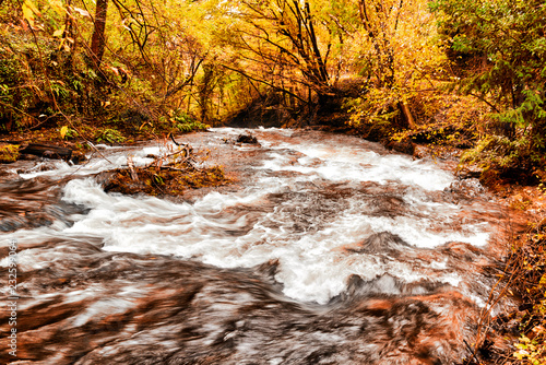 River in autumn forest photo