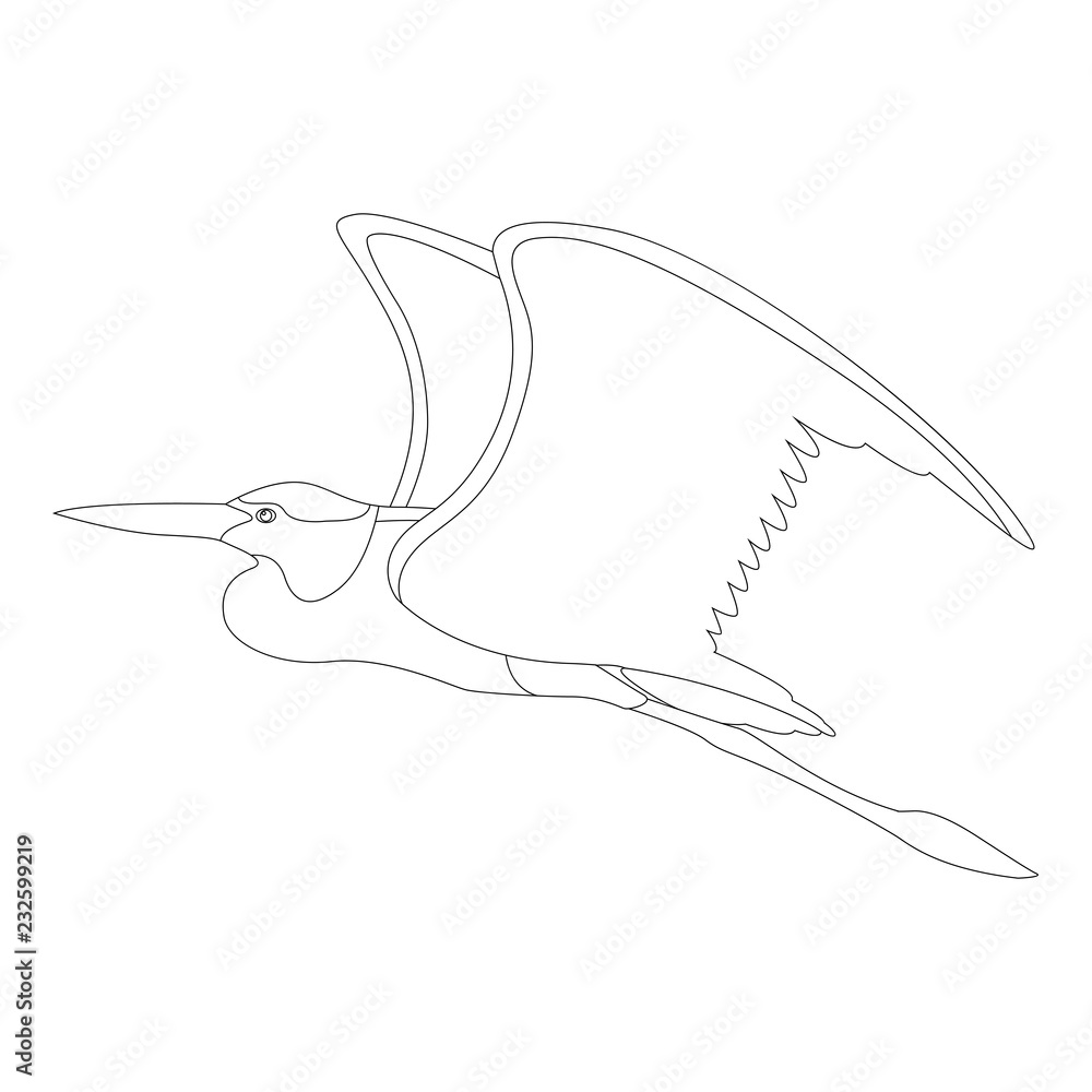 Obraz premium the heron is flying vector illustration lining draw