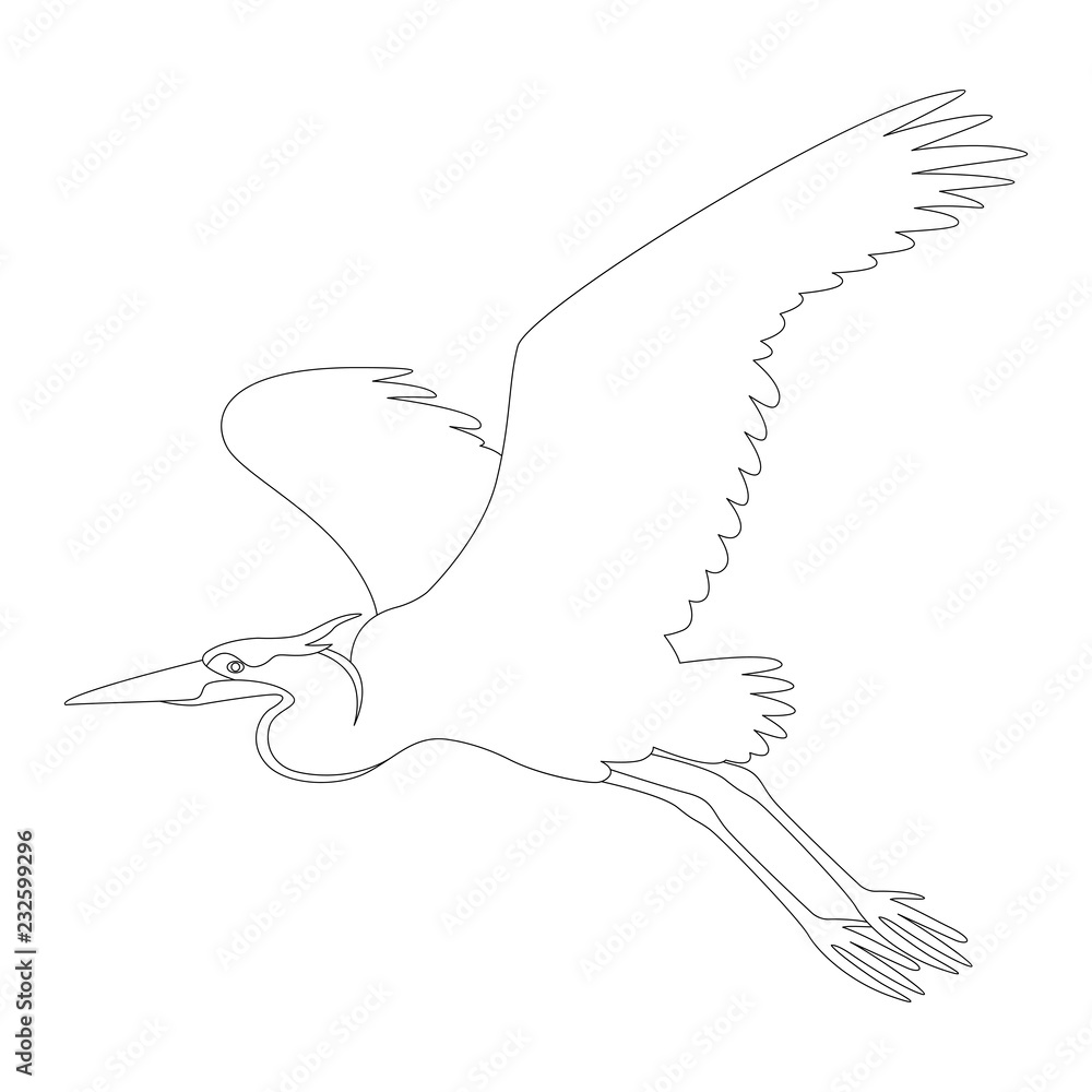 the heron is flying vector illustration lining draw the heron is flying vector illustration lining draw