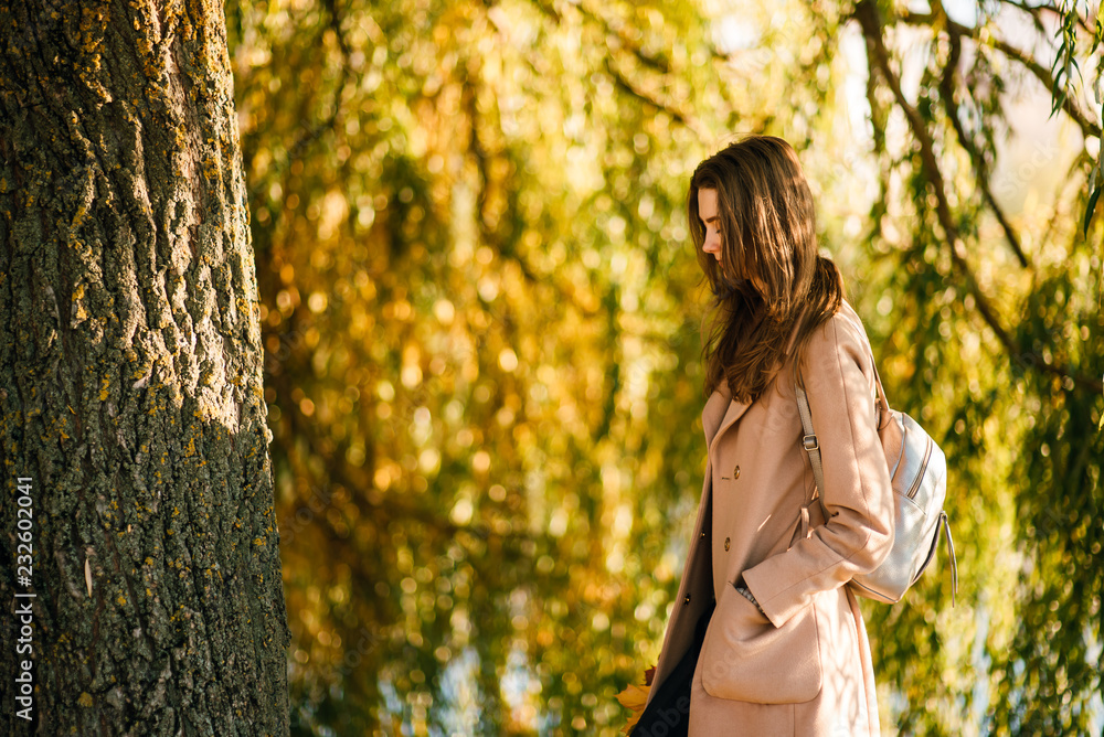 Season and people concept - beautiful happy young woman having fun with leaves in autumn park. Girl walking, resting outdoors Season and people concept - beautiful happy young woman having fun with leaves in autumn park. Girl walking, resting outdoors