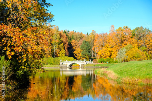 Beautiful autumn sunny landscape with the bridge over Slavyanka river and trees with red and orange leaves, Pavlovsk, St. Petersburg.