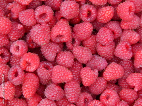 Raspberries. Nature photography