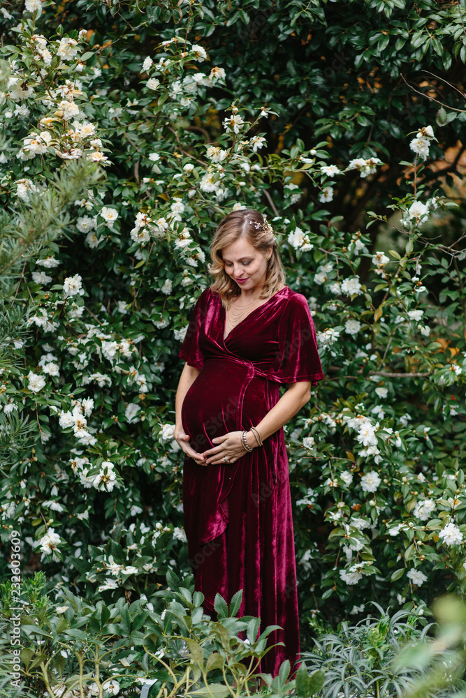Beautiful pregnant woman in a velvet dress standing in front of a flowering bush Beautiful pregnant woman in a velvet dress standing in front of a flowering bush