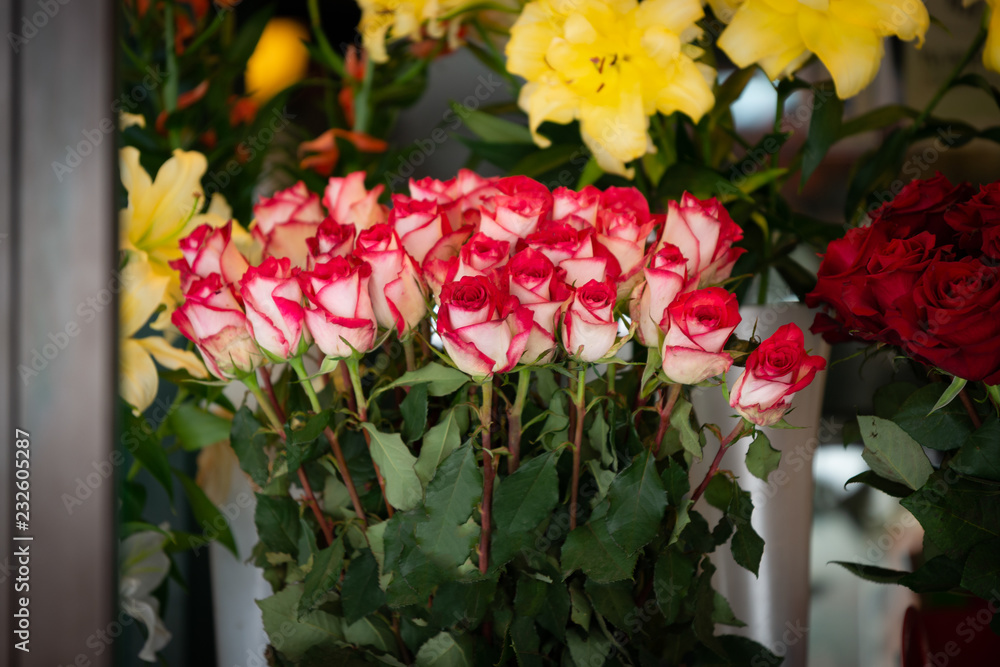 Obraz premium a bouquet of red roses