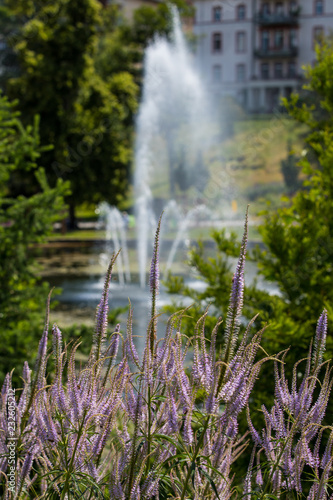 Landesgartenschau (Bad Schwalbach)