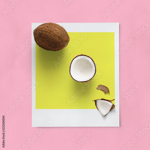 modern minimalistic concept - coconut