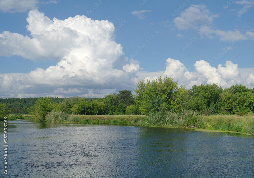 Obraz premium Summer lake near the forest with trees.