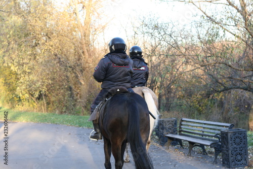 Police Horse