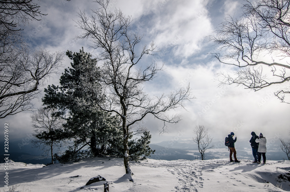 man and tree in winter man and tree in winter
