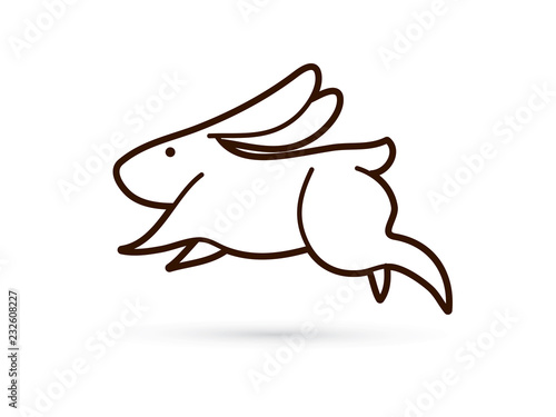 Rabbit jumping graphic vector
