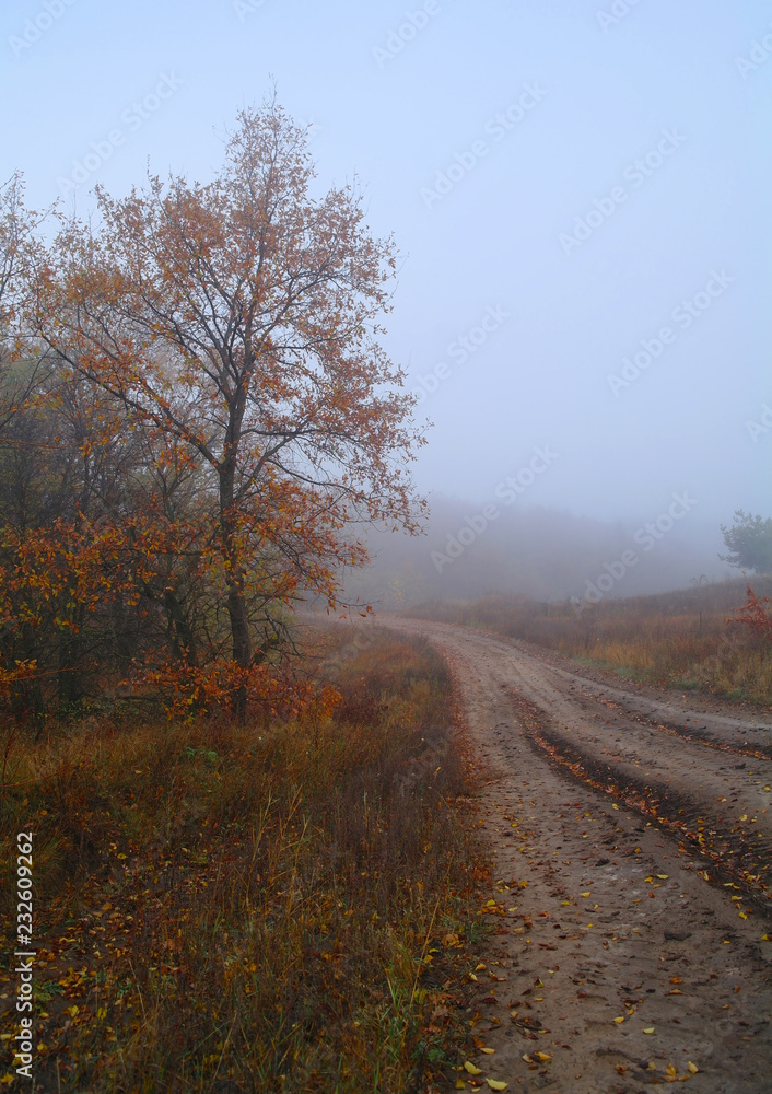 country road in autumn in the mist