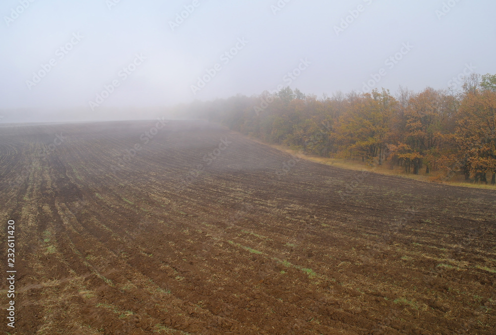 Autumn rural landscape with plowed field at morning mist