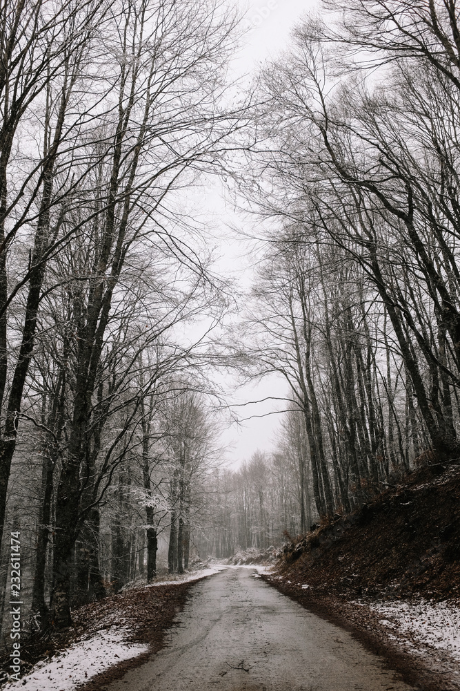 Mountain road in winter Mountain road in winter
