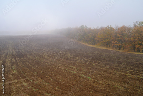 Obraz na płótnie Autumn rural landscape with plowed field at morning mist w salonie