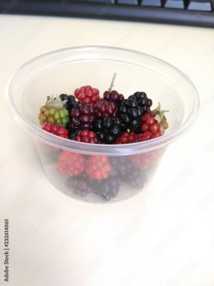 Blackberry Blackberry