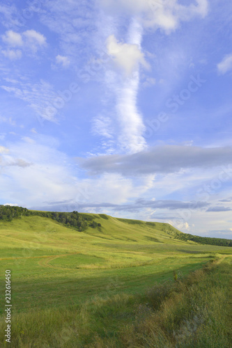 Summer landscape with mountain