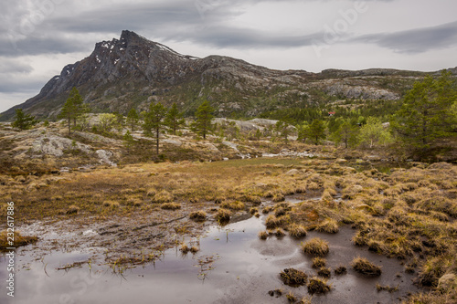 Moorlandschaft in Norwegen