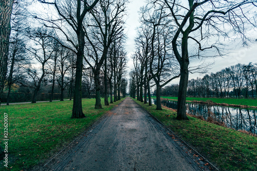 Garden Path photo