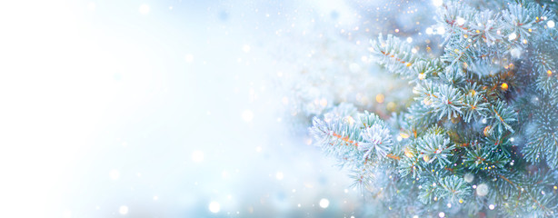 Christmas holiday tree. Border snow background. Snowflakes. Blue spruce, beautiful Christmas and New Year Xmas tree art design, abstract blue widescreen backdrop
