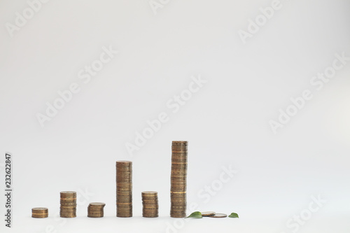 A potted plant and a pile of coins