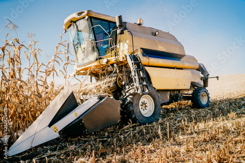 Details of combine harvester collecting corn and harvesting during autumn season photo