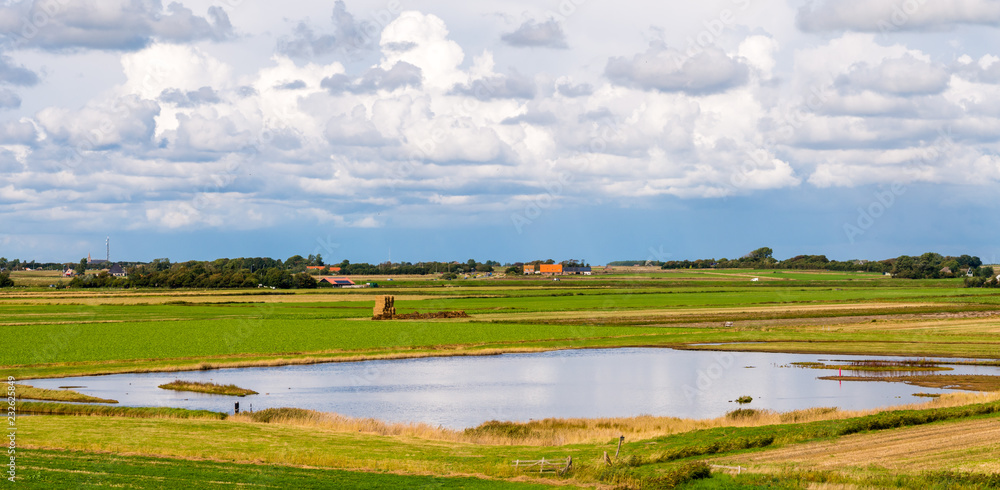 Panorama of polder landscape with farmland and wetlands on Frisian island Texel, Noord-Holland, Netherlands Panorama of polder landscape with farmland and wetlands on Frisian island Texel, Noord-Holland, Netherlands