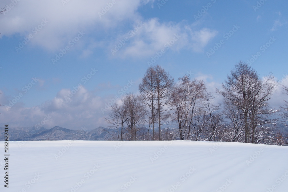 Fototapeta premium 冬晴れ