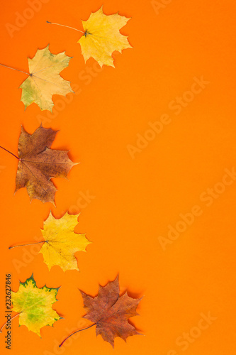 Dry autumn leaves as a frame template