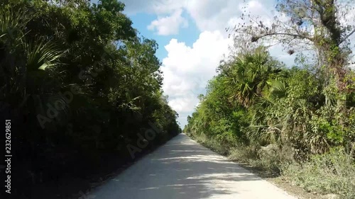 Traveling through the wilderness of the Everglades National Park driving on dirt roads