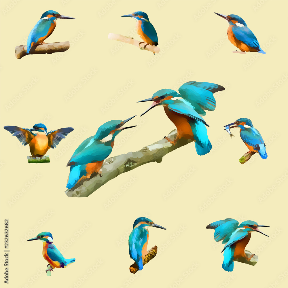 Obraz premium kingfisher illustration blue bird drawing watercolor