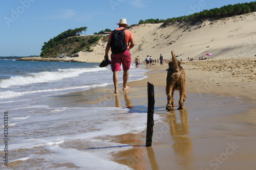 Cane e padrone spiaggia photo