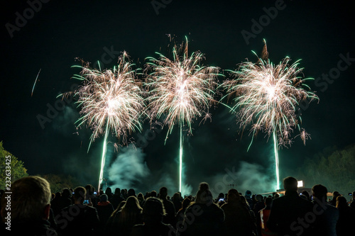 Quadro em tela Feuerwerk, Happy New Year