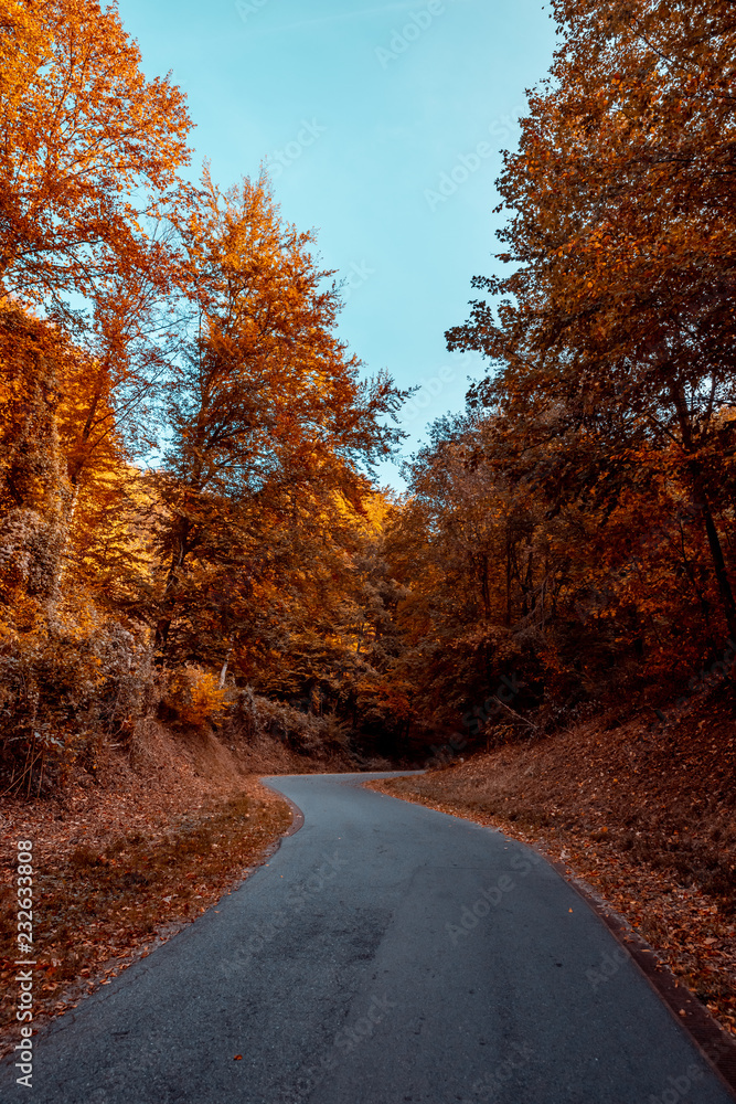 Obraz premium Herbstliche Straße