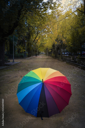 colorful umbrella in park in rainy day © Sergio