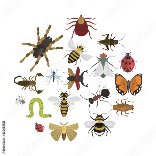Different insects color vector icons set. Flat design
