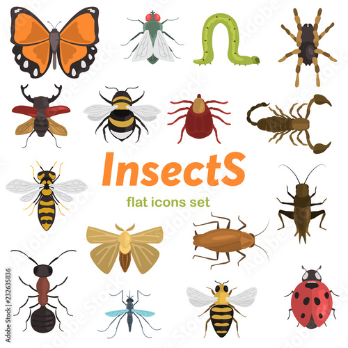 Different insects color vector icons set. Flat design © egorvector