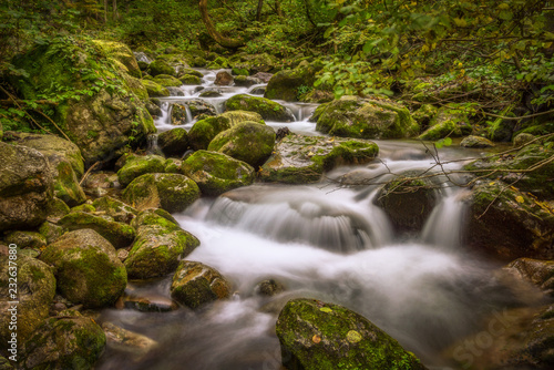 Gentle stream in Valle Pesio (Pian delle Gorre, Cuneo, Piedmont, Italy) photo