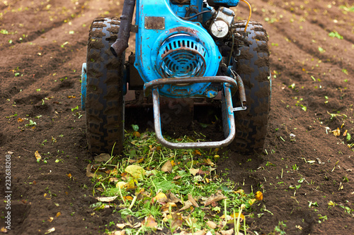 Fototapeta Naklejka Na Ścianę i Meble -  A hand tractor, motor block, turning up soil on field outdoors in the garden, soil is getting mellow, a green belt of sideration culture in front, crop, closeup, copy space. Eco farming concept