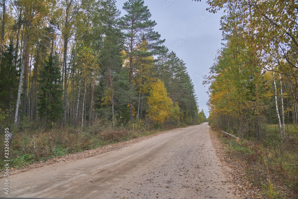 Fototapeta premium Country roads in Russia