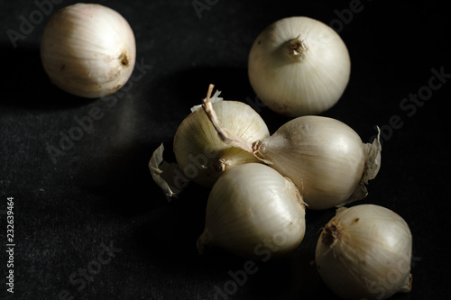 Photography a variety of onions, white variety on the table dry mature for cooking dishes