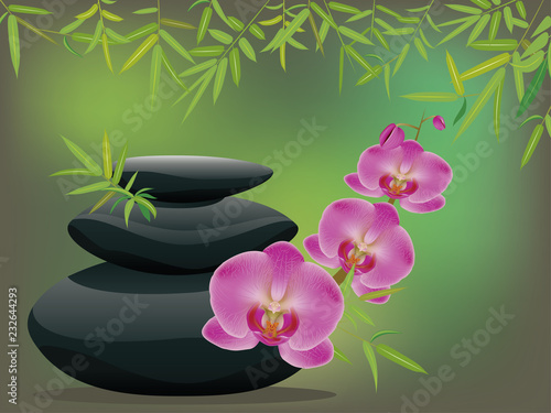 Pebbles with orchid